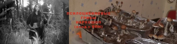 прущая мука Балабаново