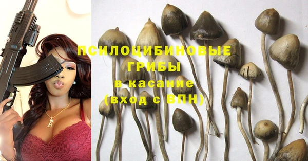 тгк Баксан